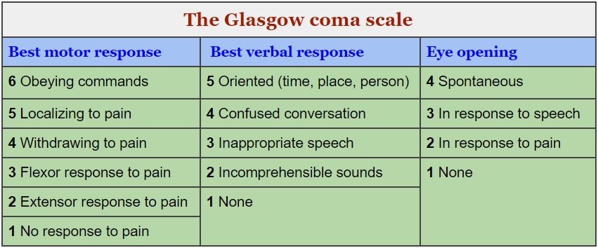 glasgow coma scale score sheet